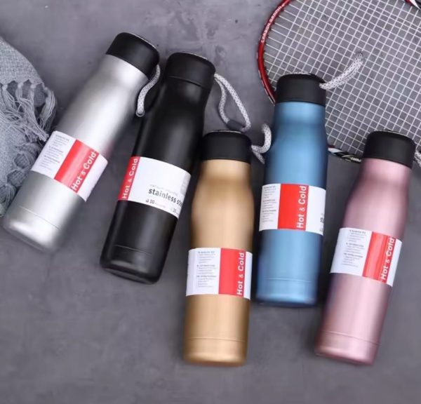 Stainless Steel Insulated Vacuum Water Bottle 550ml (Random Color)